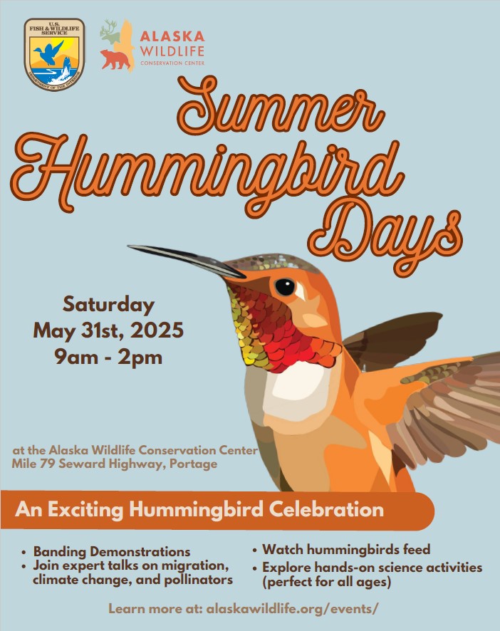 We are getting pumped up for our upcoming event: Summer Hummingbird Days! Join us on Saturday, May 31st from 9AM - 2PM for a full day of all things hummingbirds! From banding demonstrations, to hummingbird crafts, to expert led discussions— it's going to be a great day.