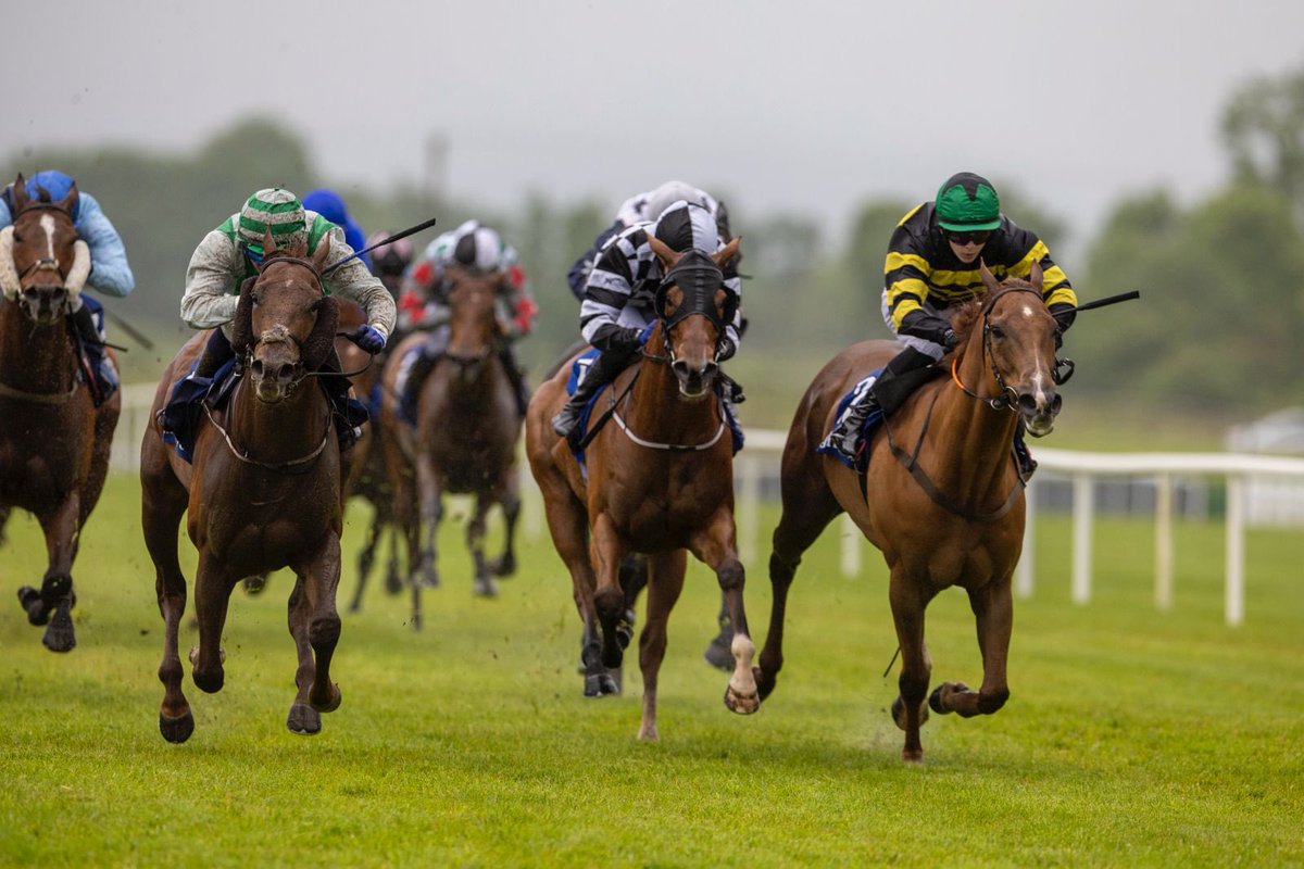 FairyhouseRacecourse (@fairyhouse) on Twitter photo Yaxchilan ๐ซ
Is first past the post with jockey <a href="/DylanBrowneMcM/">Dylan Browne Mc Mon</a> & Gerard OโLeary teaming up to deliver the goods! ๐๐จ Yaxchilan ๐ซ
Is first past the post with jockey <a href="/DylanBrowneMcM/">Dylan Browne Mc Mon</a> & Gerard OโLeary teaming up to deliver the goods! ๐๐จ