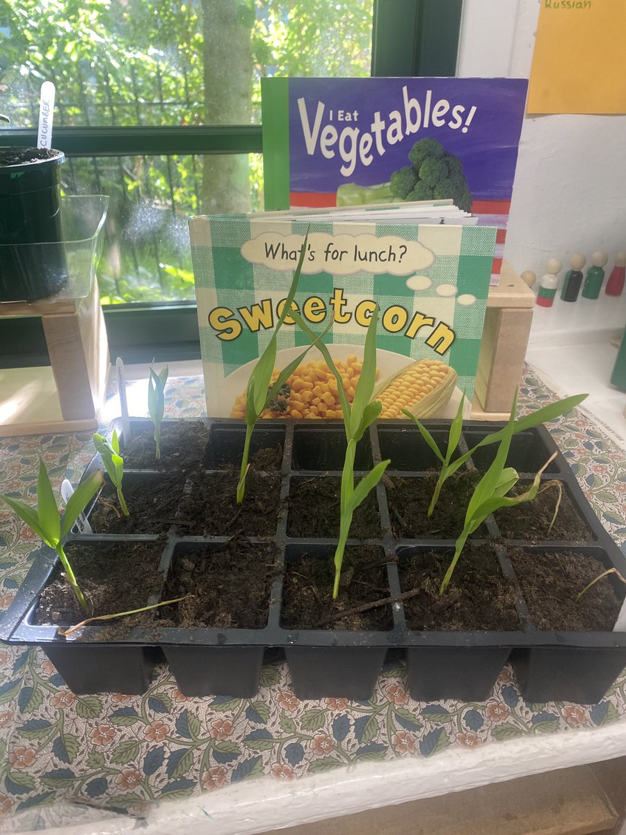 Growing vegetables… we can’t wait to plant these in our vegetable garden