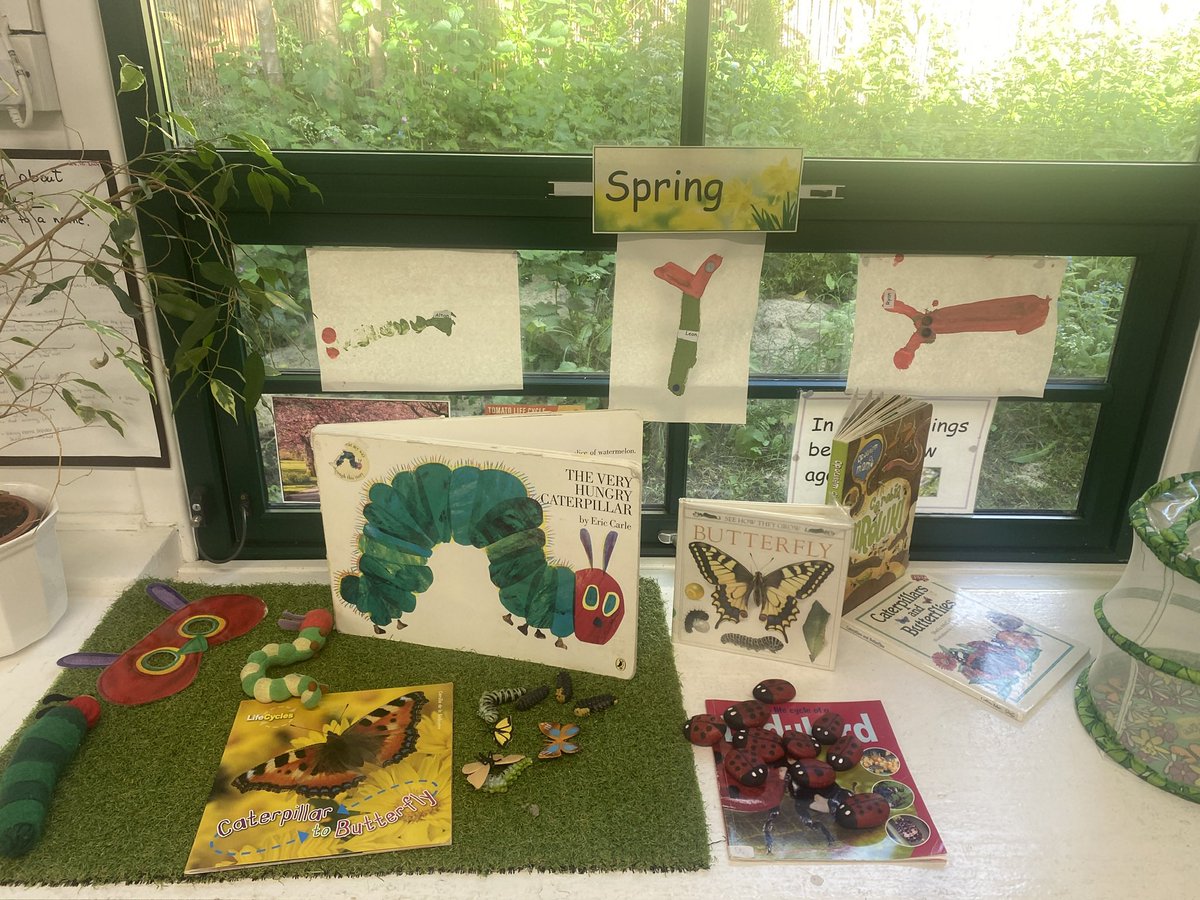 Learning about life cycles. We have 10 caterpillars waiting to turn into butterflies.