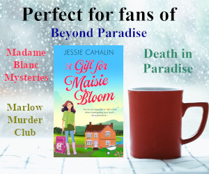 An original cosy mystery that will make you laugh. Newly qualified teacher becomes an accidental sleuth and falls in love. Travel to the Yorkshire Dales and Paris with Maisie Bloom and solve the mystery of her aunt’s disappearance. #cozymystery #Romance tinyurl.com/myjndpzz