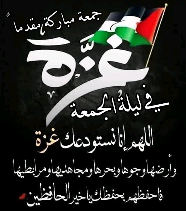 حيدر الكرار tweet media