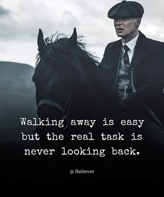 Mindful Maven tweet media