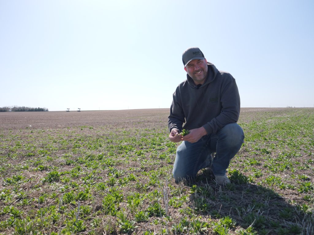 RealAgriculture (@realagriculture) on Twitter photo Some weeds are so hard to kill, but why? 🤔
Find out in the newest #PulseSchool episode as <a href="/MikePalmier/">Mike Palmier</a> w/ MNP AgIntellect, discusses what makes certain weeds so difficult to kill, and how to manage them: 🔗 ow.ly/vL3f50W10yw
#cdnag #ontag #westcdnag <a href="/BASFAgSolutions/">BASF Canada Agricultural Solutions</a> Some weeds are so hard to kill, but why? 🤔
Find out in the newest #PulseSchool episode as <a href="/MikePalmier/">Mike Palmier</a> w/ MNP AgIntellect, discusses what makes certain weeds so difficult to kill, and how to manage them: 🔗 ow.ly/vL3f50W10yw
#cdnag #ontag #westcdnag <a href="/BASFAgSolutions/">BASF Canada Agricultural Solutions</a>