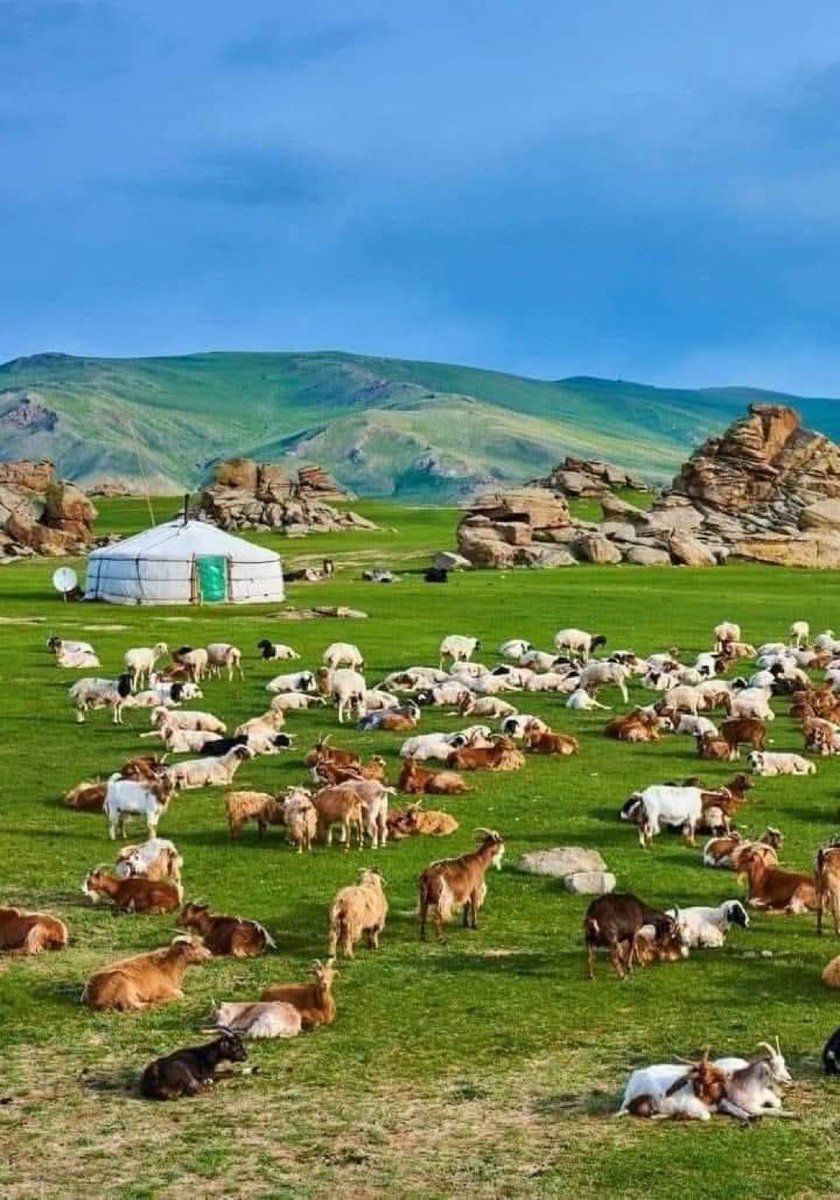 Баасан гарагийн өглөөний мэнд