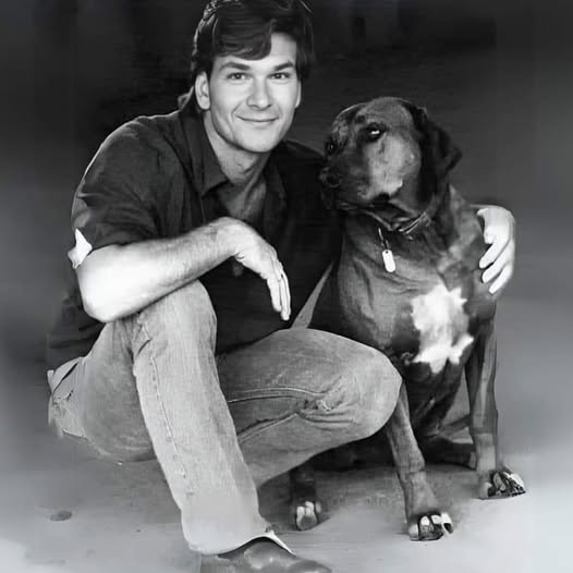 Patrick Swayze once said, "They told me my house smelled like dogs, and I asked them, do you know what a dog smells like? It smells like gratitude, loyalty, nobility, affection, pure unconditional love. And in spite of all they've been through, they smell no resentment. So