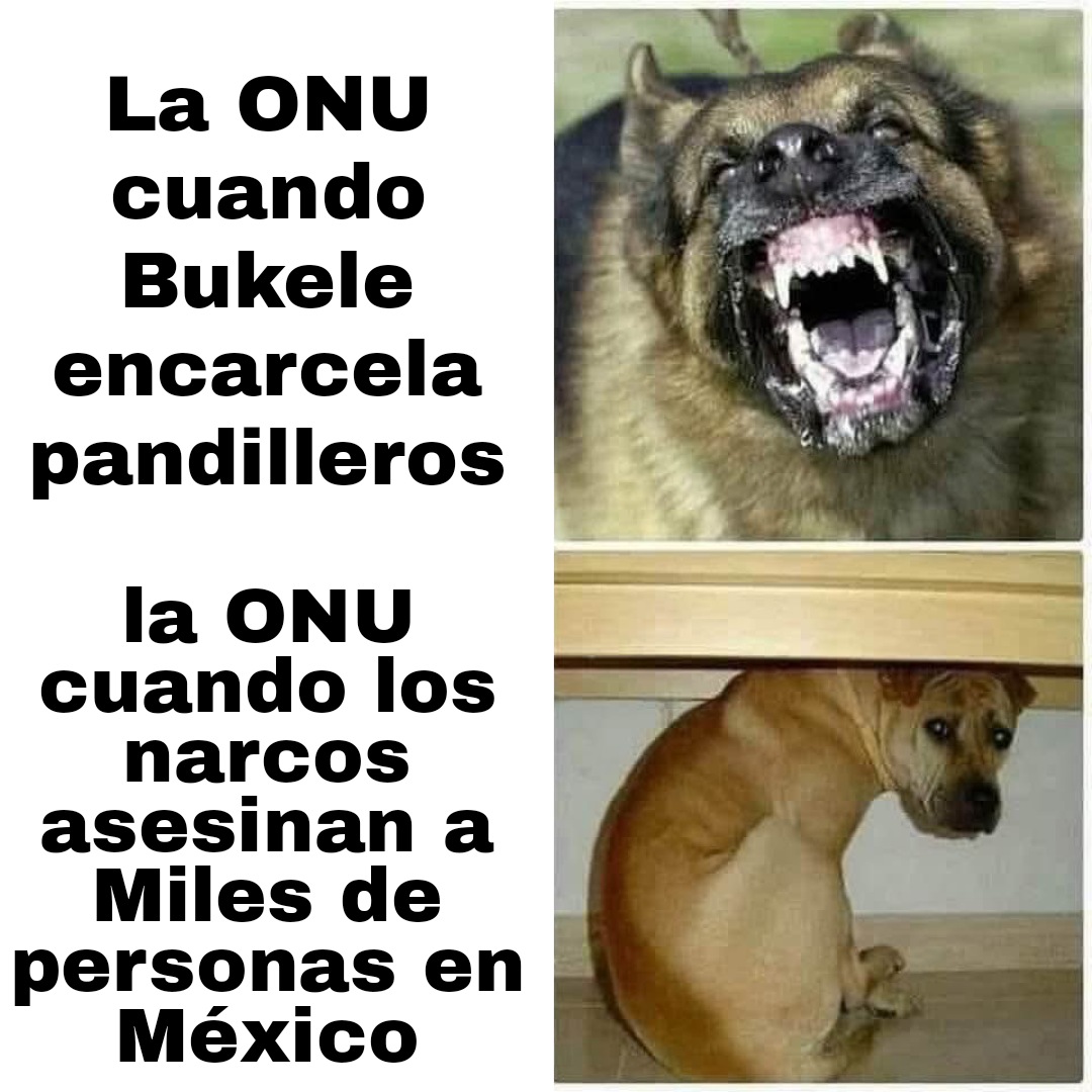 HombreHatman's tweet photo. @AlertaMundoNews Literal https://t.co/crVnZxPTzT