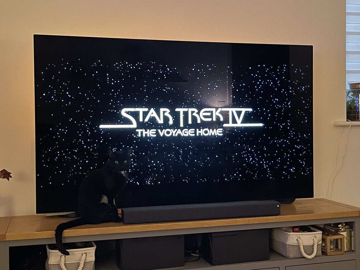 Rugged Land Specialist: Arthur Tolmie tweet media