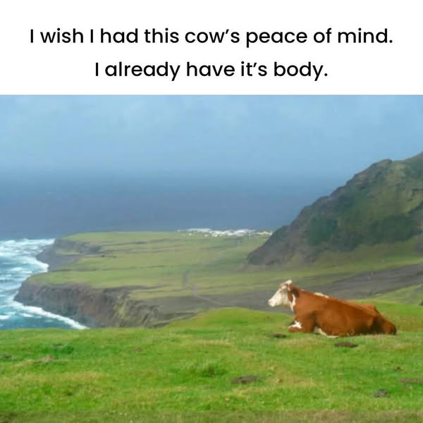 Papa Woof und Krampus und Bleaken tweet media