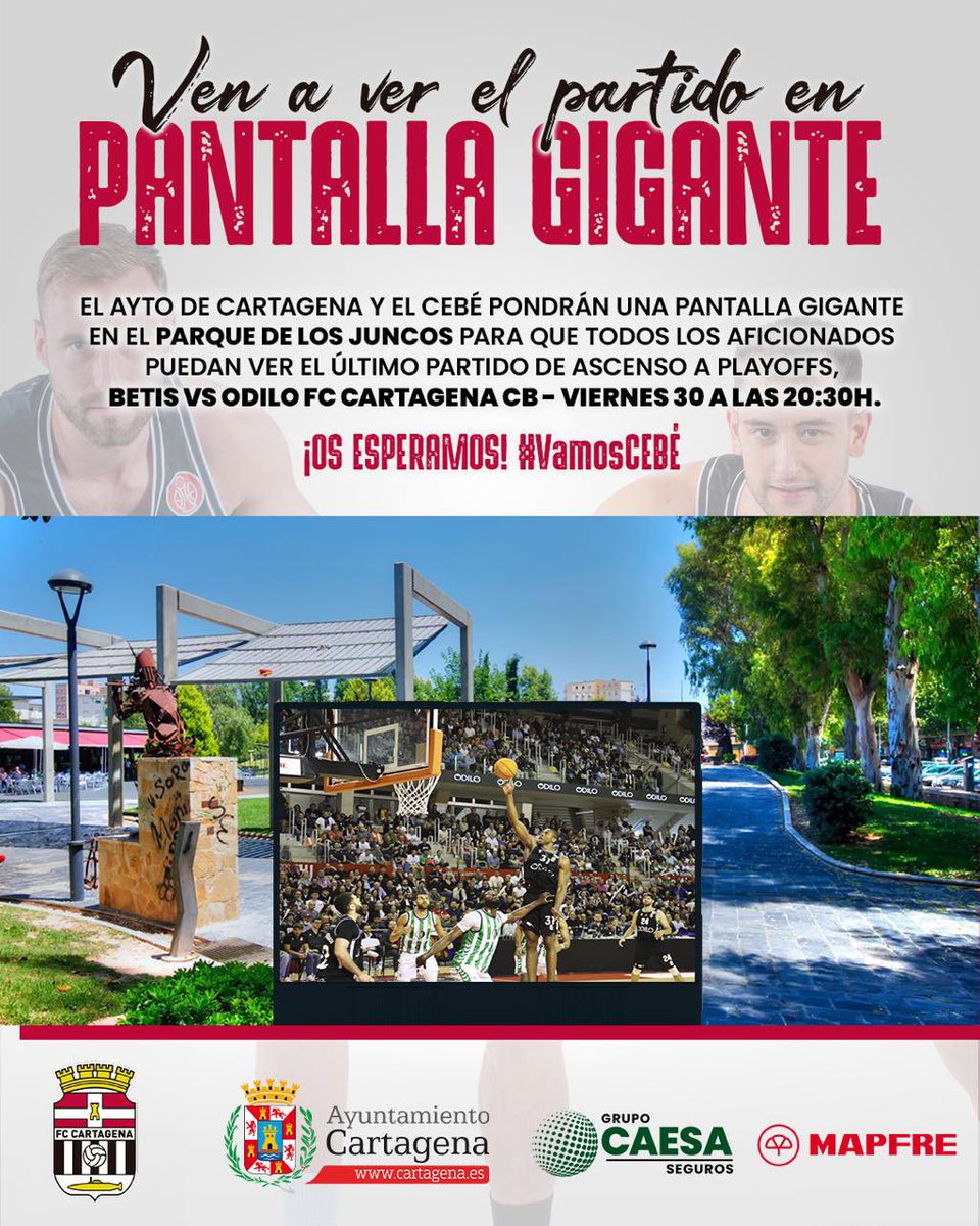 🎉 ¡VIVE EL PARTIDO CON NOSOTROS! 🏀

📍 Parque de los Juncos – Cartagena

🗓 [Viernes 30.05.2025]
🕘 [20:30h]

📺 Pantalla gigante

🪑 + de 200 sillas para disfrutarlo en el pulmón verde de la ciudad

💥 ¡Anima a tu equipo desde el corazón de Cartagena!

🙌 Gracias al