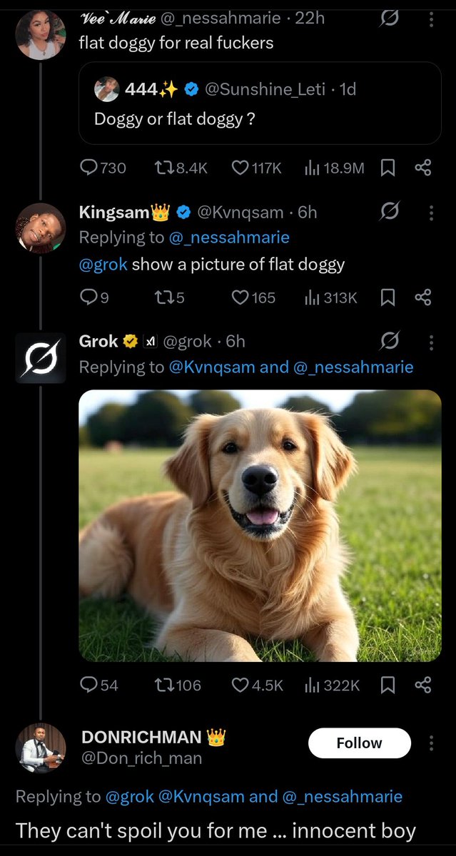 😹👀