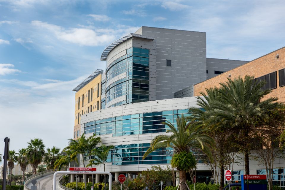 Charles J. Lockwood (@lockwood_md) on Twitter photo Kudos to the outstanding emergency medicine team <a href="/TGHCares/">Tampa General Hospital</a>, our primary teaching partner, as TGH becomes the first hospital in Florida to achieve verification for emergency general surgery by <a href="/AmCollSurgeons/">American College of Surgeons</a>: bit.ly/43dOIxC Kudos to the outstanding emergency medicine team <a href="/TGHCares/">Tampa General Hospital</a>, our primary teaching partner, as TGH becomes the first hospital in Florida to achieve verification for emergency general surgery by <a href="/AmCollSurgeons/">American College of Surgeons</a>: bit.ly/43dOIxC