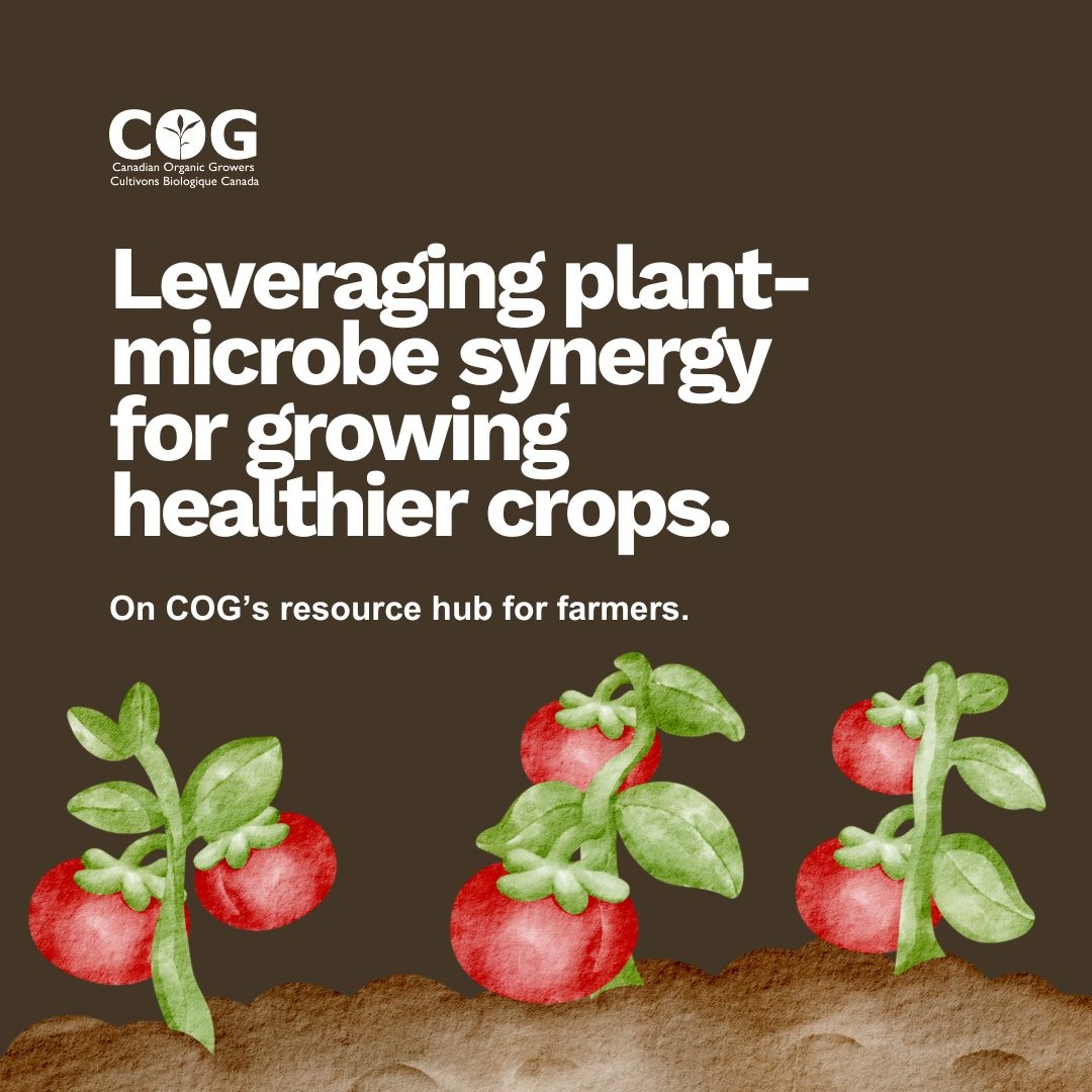 To go along with our Regen Reads recommendation for this month, "Leveraging the beneficial connections between plants and soil organisms", we are releasing an extra special Regenerative Organic Hub resource! Follow the link below to explore more: 

cog.ca/content_librar…