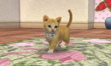 ♪⃣ 𓈒 ݁ 𓏲𝄢 tweet media