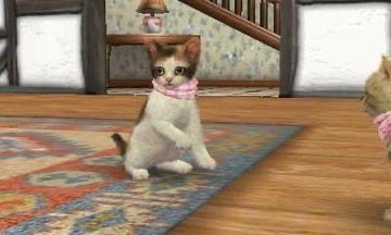 ♪⃣ 𓈒 ݁ 𓏲𝄢 tweet media