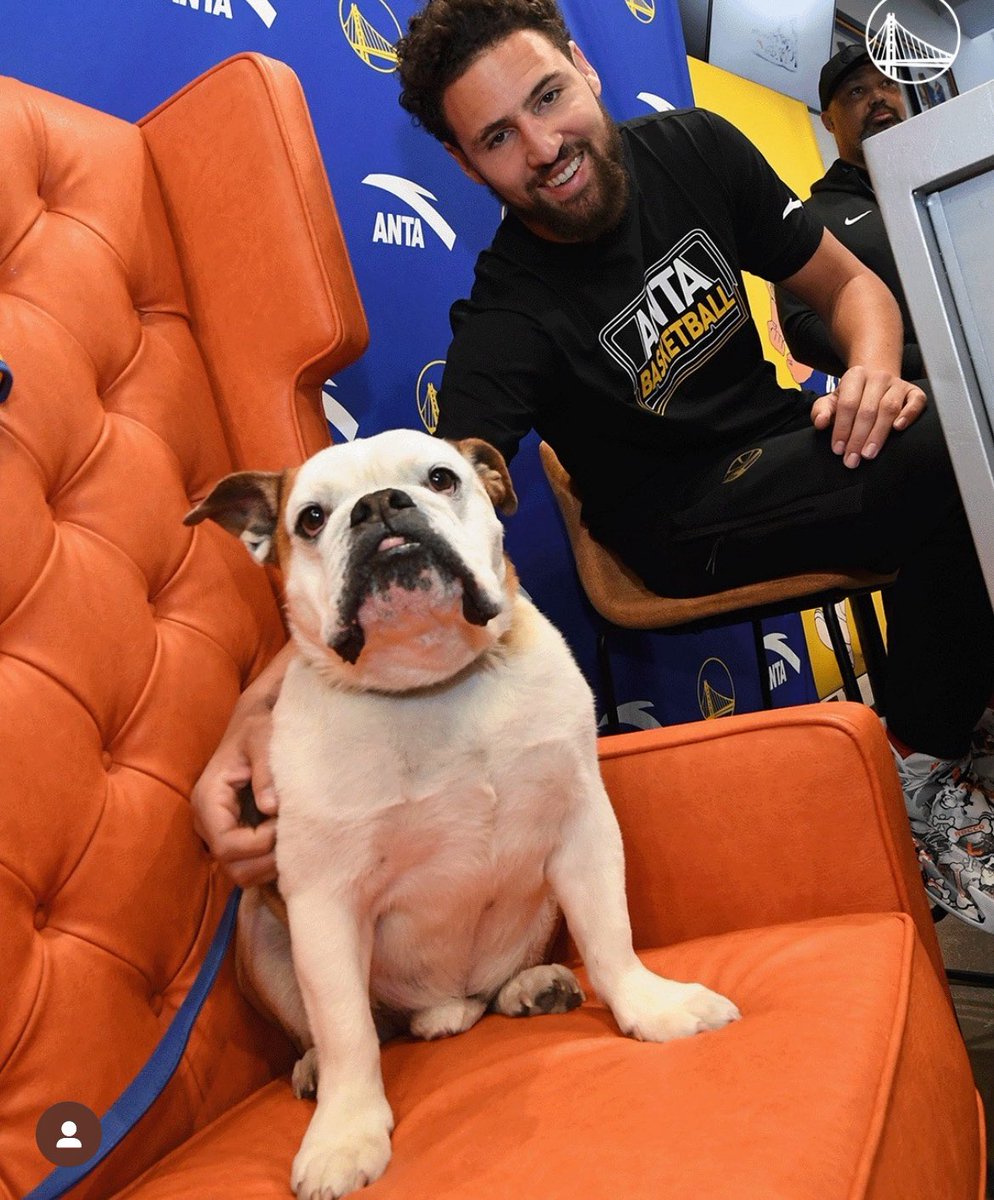 bryant_gotgame's tweet photo. RIP Rocco. 😢🙏🏾🕊️ Love to Klay always. ❤️ https://t.co/NGpsB1eKwW