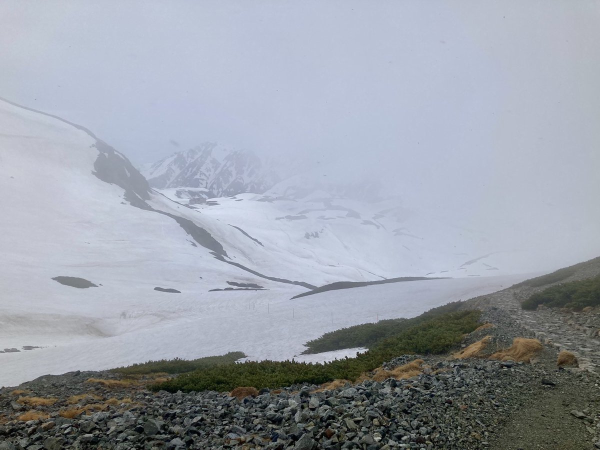 おはようございます。
5/30 6:10現在、玄関先の温度計は3℃。
時折、雪がパラつき肌寒いです。
視界も悪く、予報通りな感じです。
皆様本日も良い一日をお過ごし下さい。
