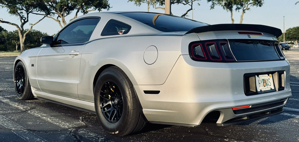 Cat car posting 😇