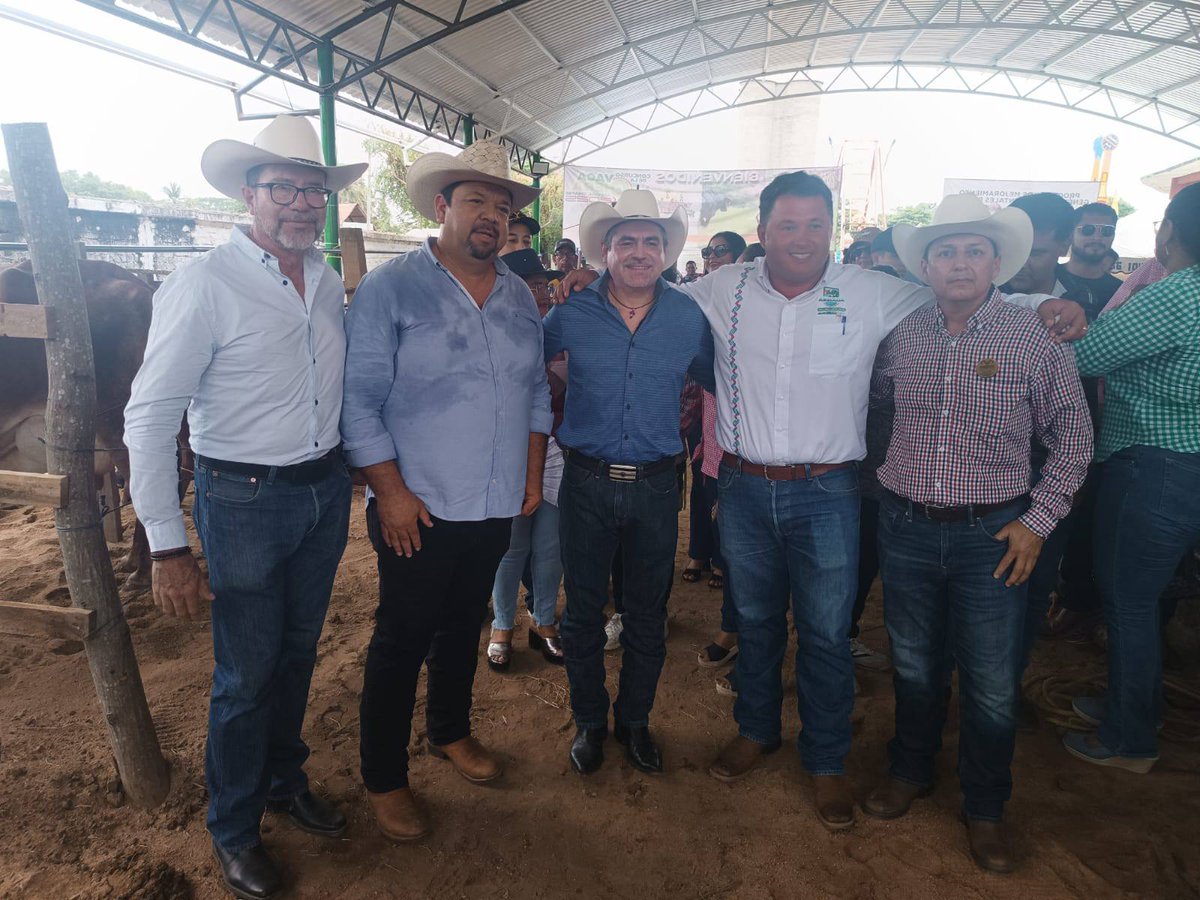Se impulsa la ganadería con apoyos para la compra de sementales: Albores Cruz facebook.com/SagypChiapas/p…