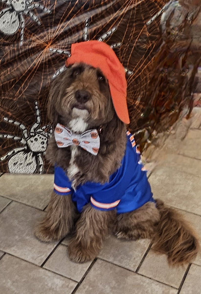 Bocker & Marie tweet media