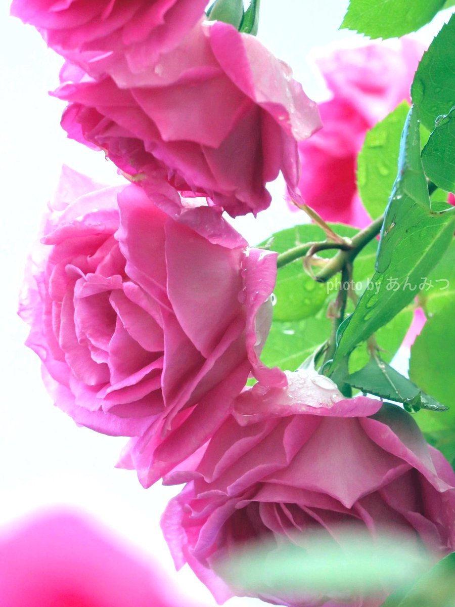 おはようございます♡