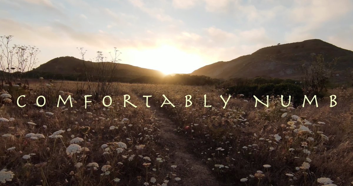 AddarioMichael's tweet image. Get Comfortably Numb in 4k
youtu.be/4NwZO4s0L0w?fe…