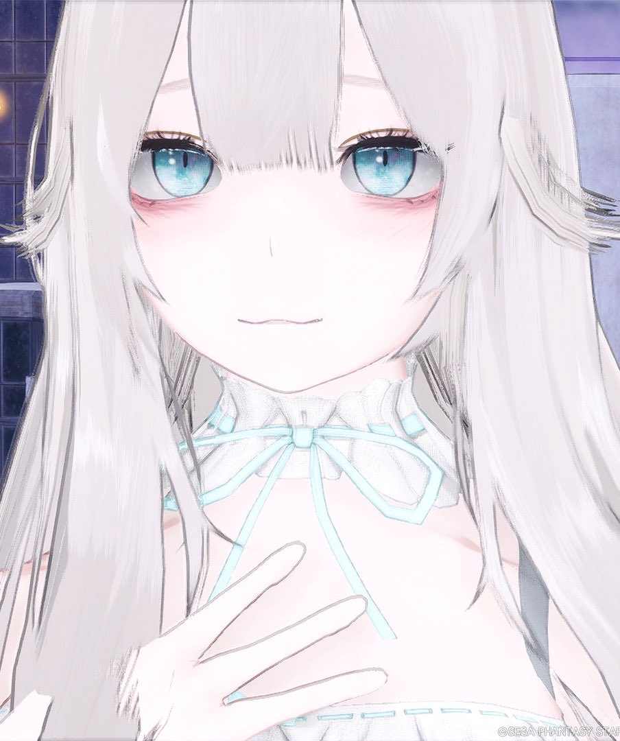 penchon47's tweet image. #PSO2NSG
まいにちがかおようび