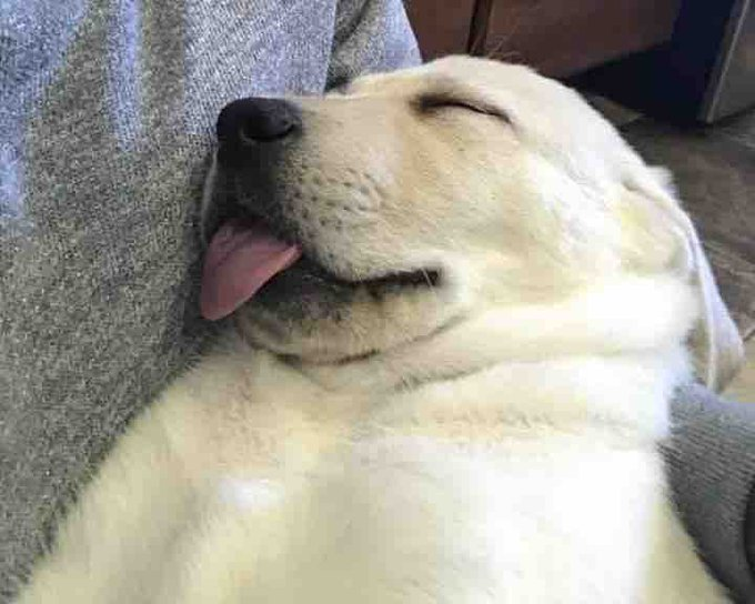 yo despues de aumentarle 10 minutos mas a la alarma