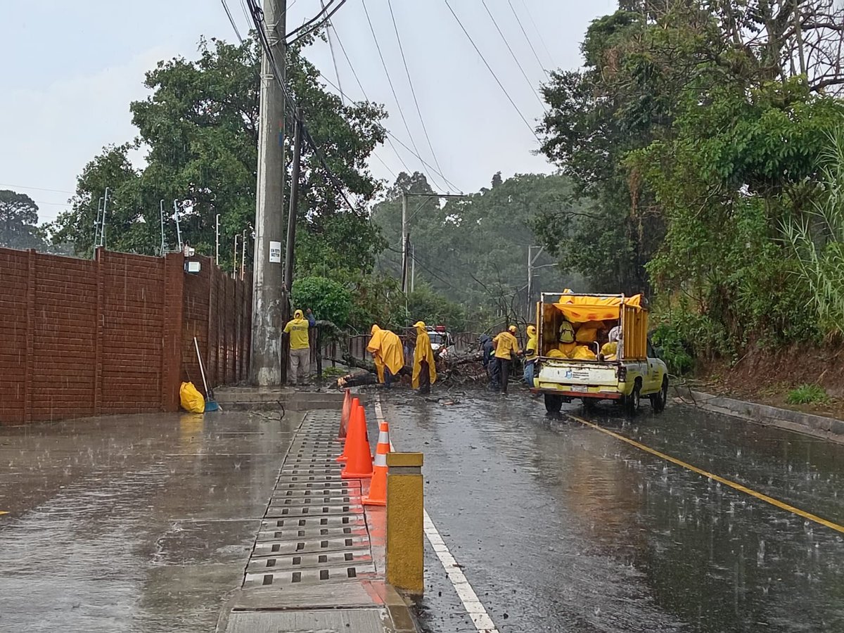 #Guatemala Se registra caída de árbol en Villas Granadas II, Cuchilla del Carmén, Santa Catarina Pinula, Guatemala. Se coordina con instituciones del Sistema CONRED para las acciones de respuesta. 

Fotografías: Sistema CONRED