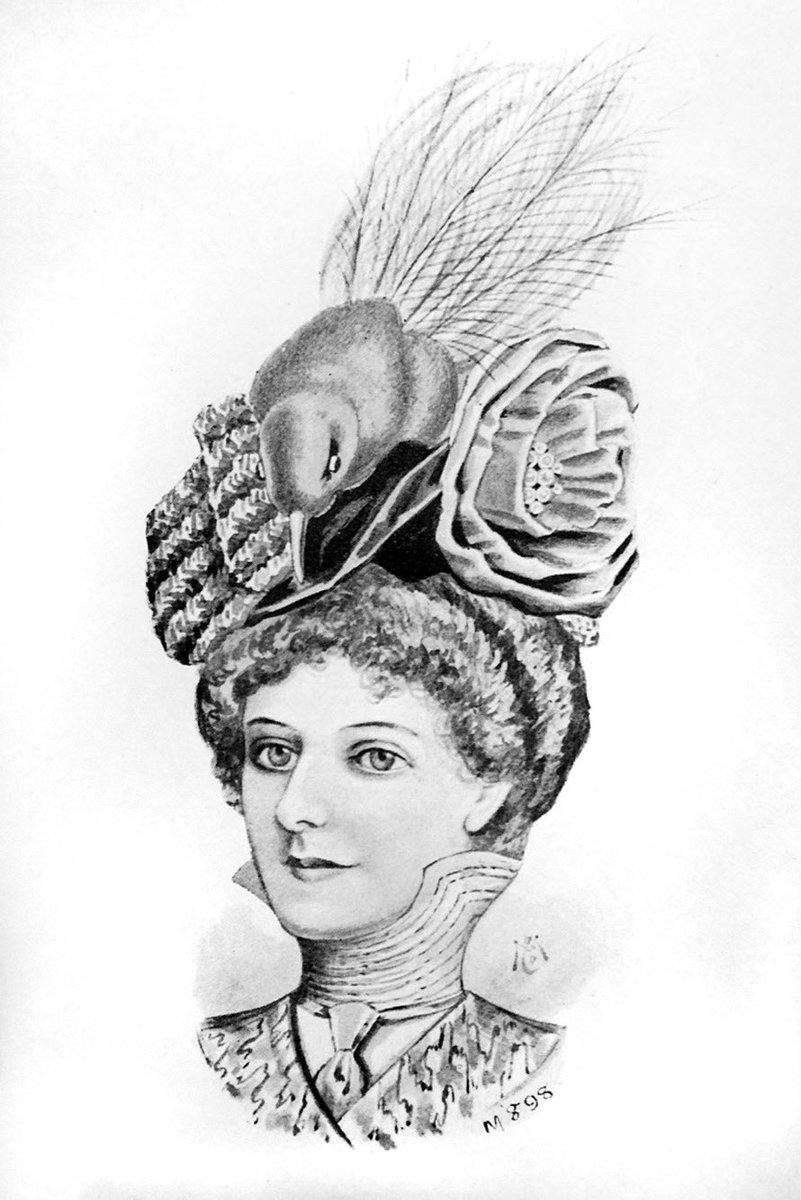 Emily Williamson, <a href="/BBCRadio4/">BBC Radio 4</a> #GreatLives nominee: RSPB founder 1889, calling out ‘murderous millinery’ one feathered hat at a time. Saving the world’s #birdlife from the rapacious plumage trade. 
I’m so chuffed to have brought her story to light &amp; taken part in this. Listen!