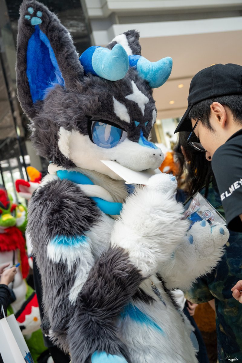 #FursuitFriday
下一封 要给谁呢