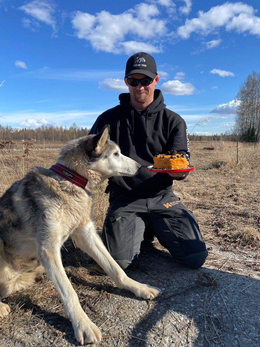 Earlier this month, we celebrated Hero’s 15th birthday!! 15 years of friendship and adventures, including 5 Iditarods. Here's to many more adventures, buddy 🐾❤️

#RetiredSledDogs #sleddogtours #alaskalife #alaskanhuskies #doglove #dogmusher #iditarod