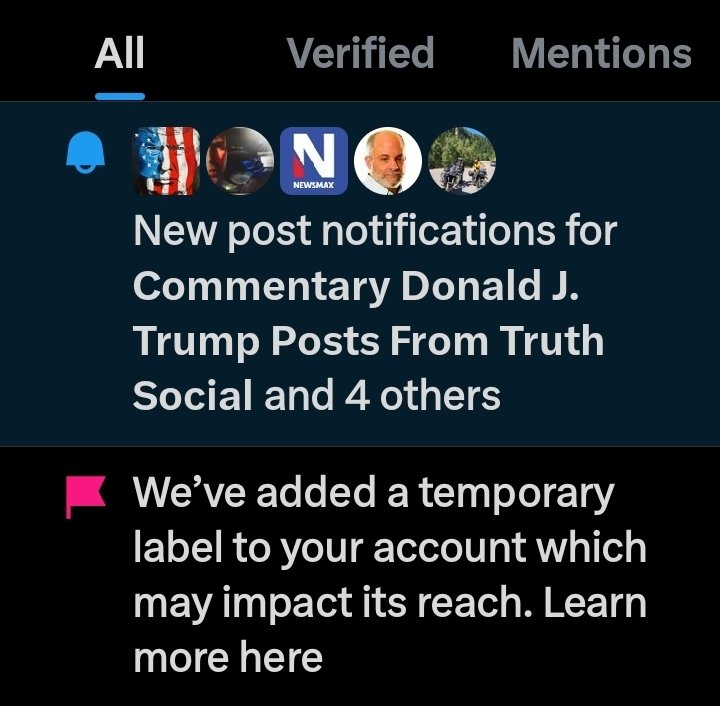 Lioness63's tweet photo. Seriously? But full nude porn accounts are acceptable on X? 
Nice standards @elonmusk https://t.co/iWLK1DTZz3