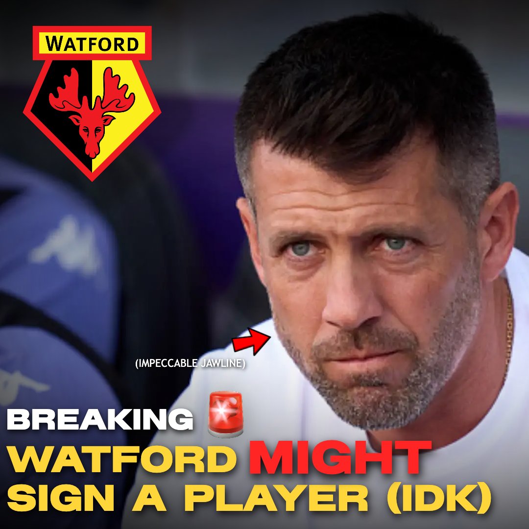 BREAKING 🚨🚨

A #watfordfc source has claimed that Watford will probably sign a player again in the future (i think im not too sure)

[<a href="/aidenWFC/">Aiden</a>]