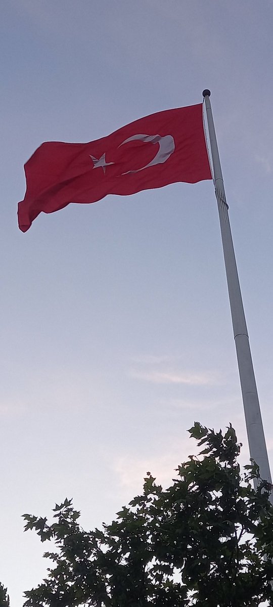 Ey şimdi süzgün, rüzgarlarda dalgalı;
Barışın güvercini, savaşın kartalı
Yüksek yerlerde açan çiçeğim.
Senin altında doğdum.
Senin altında öleceğim...

#TürkBayrağı 🇹🇷🇹🇷🇹🇷