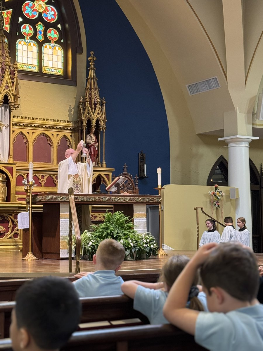 Our Lady Queen of Apostles School tweet media