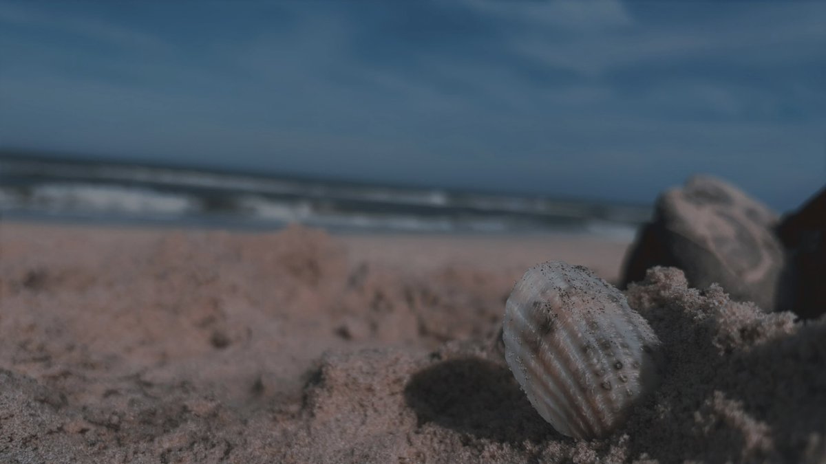 Did you touch sand today? 

🏝️