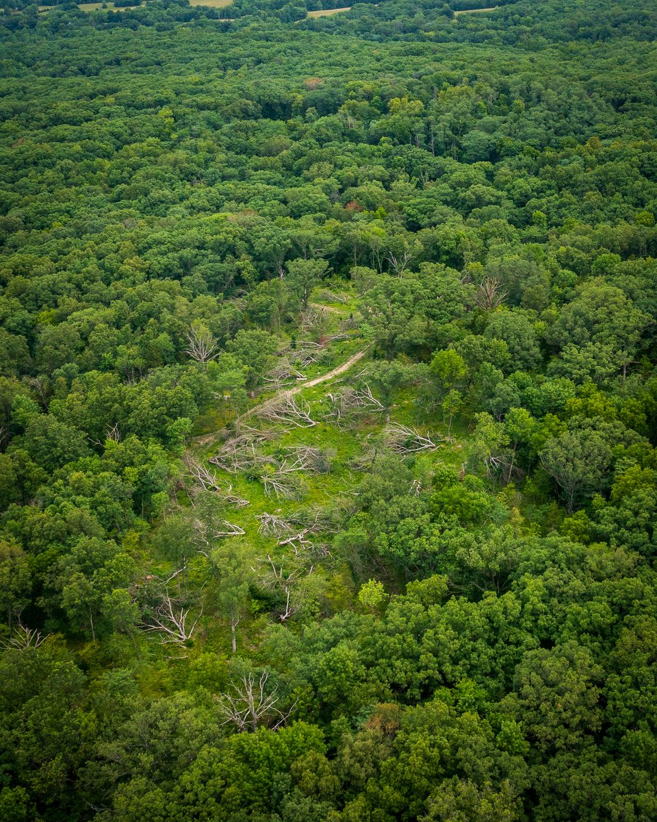 Adam &amp; Alan of Land &amp; Legacy reveal how to turn overlooked land into thriving wildlife openings. Boost your hunting success and support conservation—make every acre count!
#HabitatManagement #WildlifeConservation #LandStewardship 
hubs.la/Q03pz9WS0
<a href="/JohnDeere/">John Deere USA</a>
<a href="/lacrosse1897/">LaCrosse Footwear</a>