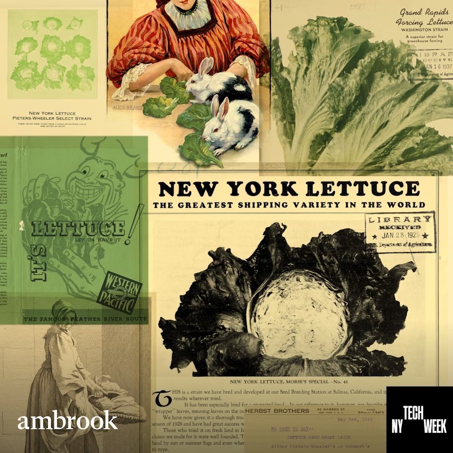 romaine calm! @ambrookag x nyc @techweek_ is throwing a head of a party next wednesday in soho

don’t leaf it too late, dm me to get on the list (limited spots left)🥬