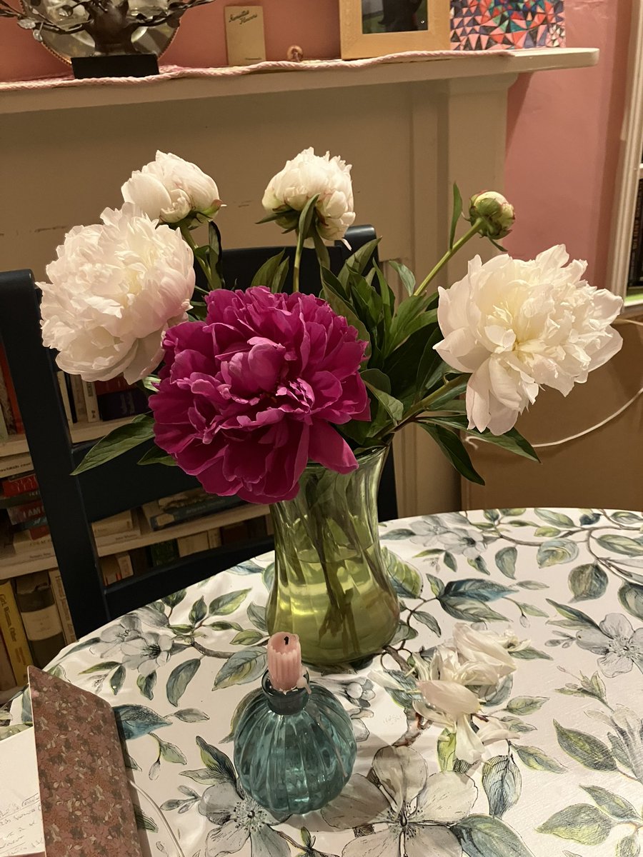 Maureen Boyle (@boylemo) on Twitter photo Peony time. 🩷 Peony time. 🩷