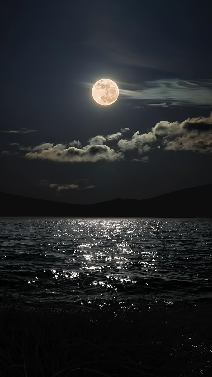 St. Lawrence Surge tweet media