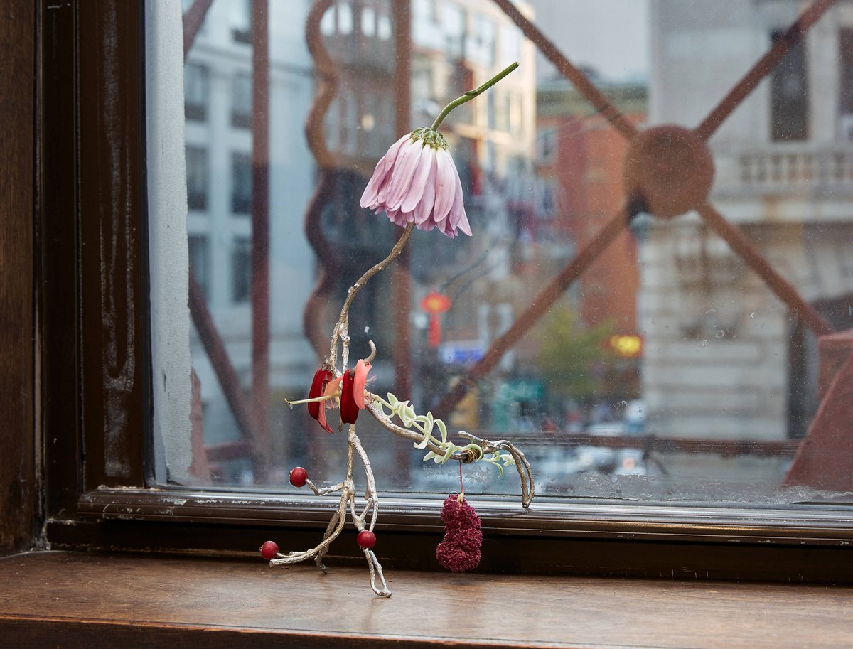 A sculptural scavenger hunt awaits! Through 'Memory Palace,' a site-specific installation by Umico Niwa, seek out the nymph-like 'Daphnes' in miniature scenes of delicate mischief. Be the first to see the exhibition at our free opening reception June 25 » asiasociety.org/texas/events/o…