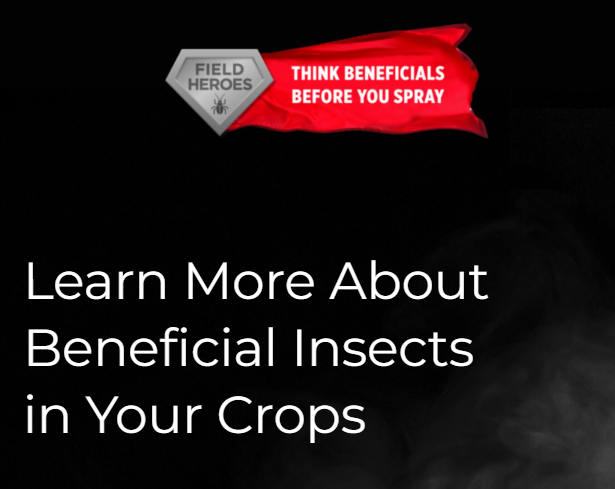 SaskBarley (@saskbarley) on Twitter photo 🐞 Don't be so quick to reach for a #pesticide. Save time & $ by understanding what predators are coexisting with your pests and if you have a safe threshold to let nature take its course. Learn more at fieldheroes.ca.
<a href="/FieldHeroes/">Field Heroes</a> #ItsABugEatBugWorld #SaskAg #Spray25 🐞 Don't be so quick to reach for a #pesticide. Save time & $ by understanding what predators are coexisting with your pests and if you have a safe threshold to let nature take its course. Learn more at fieldheroes.ca.
<a href="/FieldHeroes/">Field Heroes</a> #ItsABugEatBugWorld #SaskAg #Spray25
