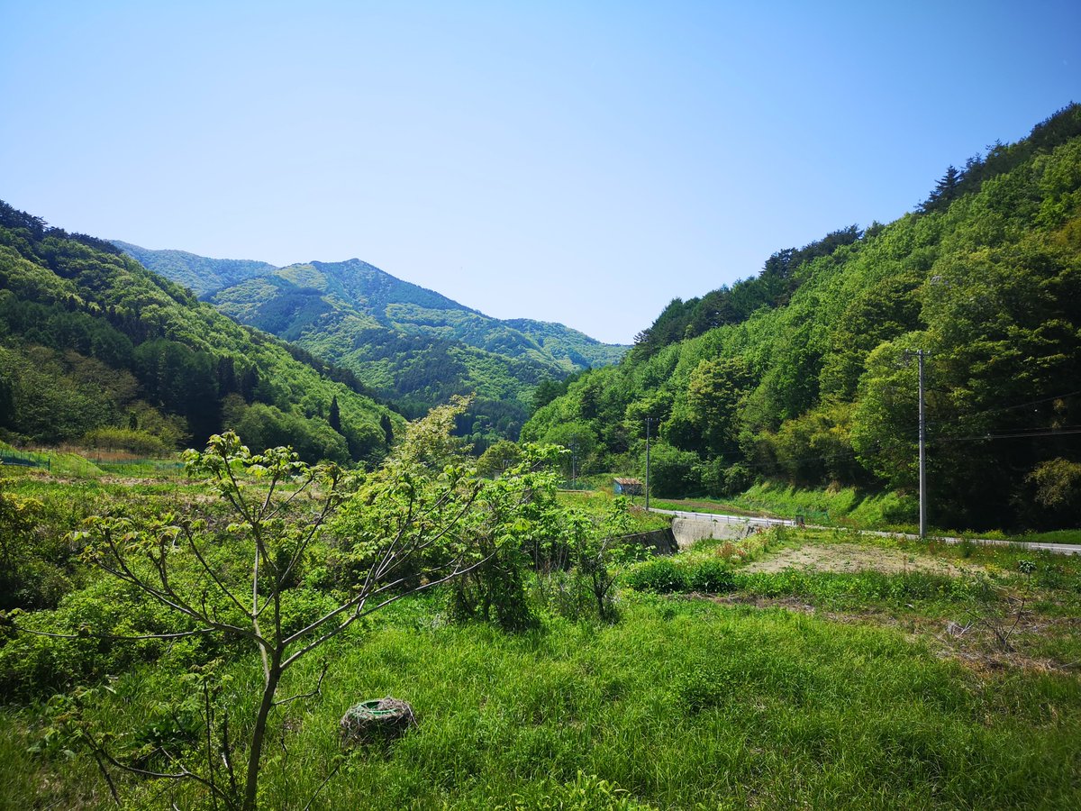 bakupc4's tweet photo. 【更新】初めてここに来てから、そろそろ３年になる…
住み始めてからは2年半か https://t.co/yOLgfCcOrY