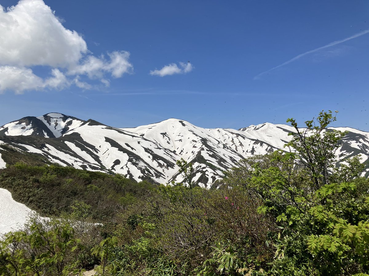 kouryu0803's tweet photo. 朝日連峰のゼブラ模様最高👍
#残雪  #雪山 #大朝日岳
#朝日連峰 #ゼブラ模様 https://t.co/3ZDWG8o6oc