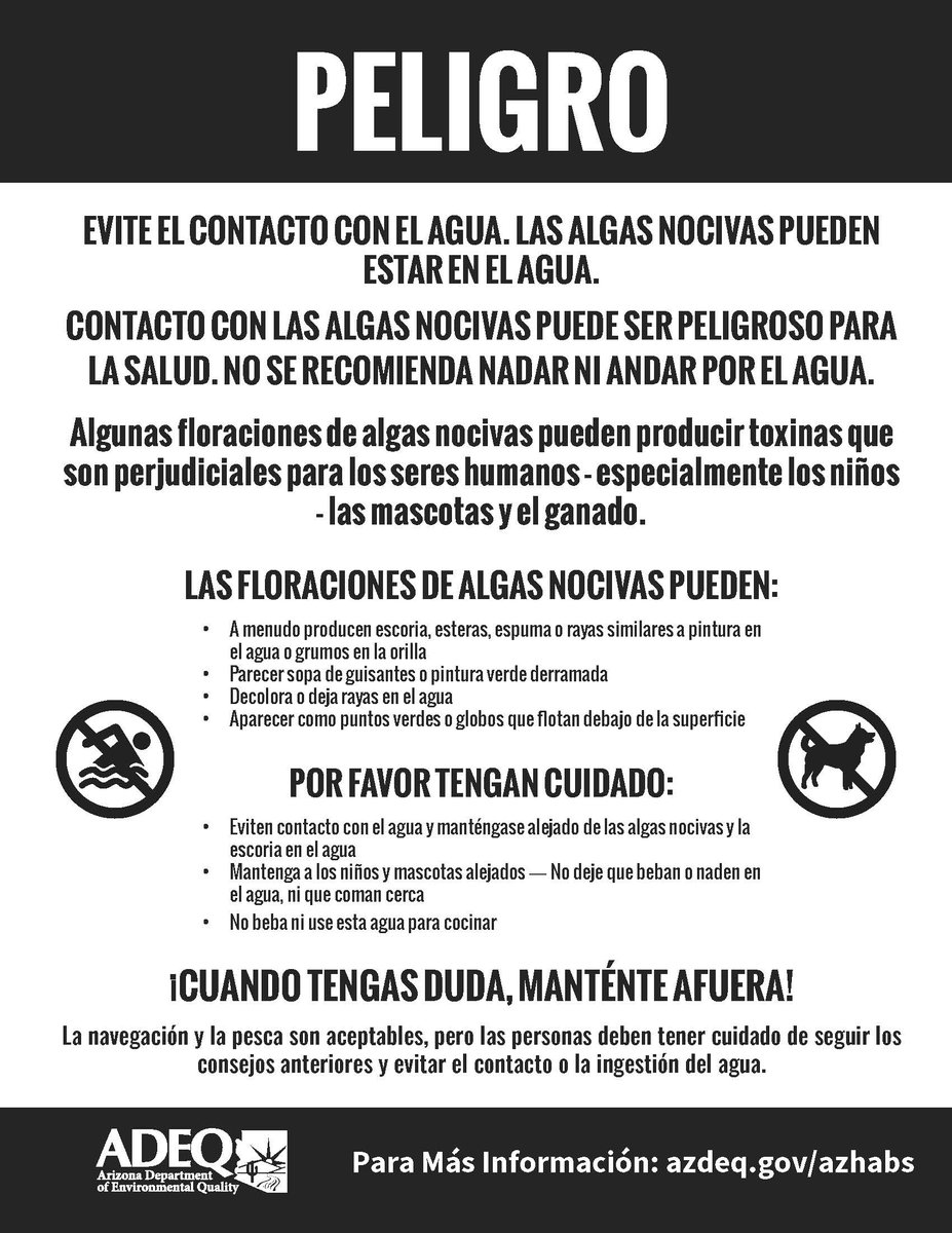 TontoForest's tweet photo. ‼️PUBLIC HEALTH ADVISORY‼️
There is an algae bloom in Apache Lake located on the Tonto Basin Ranger District. Algae are tiny organisms found naturally in water. As part of a natural cycle, they typically bloom more intensely during warm summer months and decline during winter. https://t.co/rqDmoGwbNQ