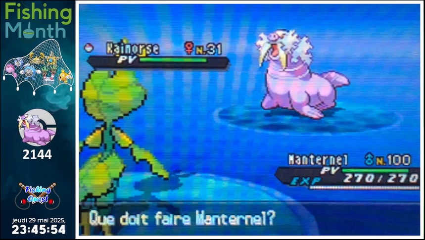 (57☆) Grosse dinguerie Kaimorse en surf phenomenon à 10% en phase 1 et seulement 2144 rencontres. C'était la cible secondaire sur cette shasse de Wailord. Trouvé devant le stream de Dewi #SHLS10