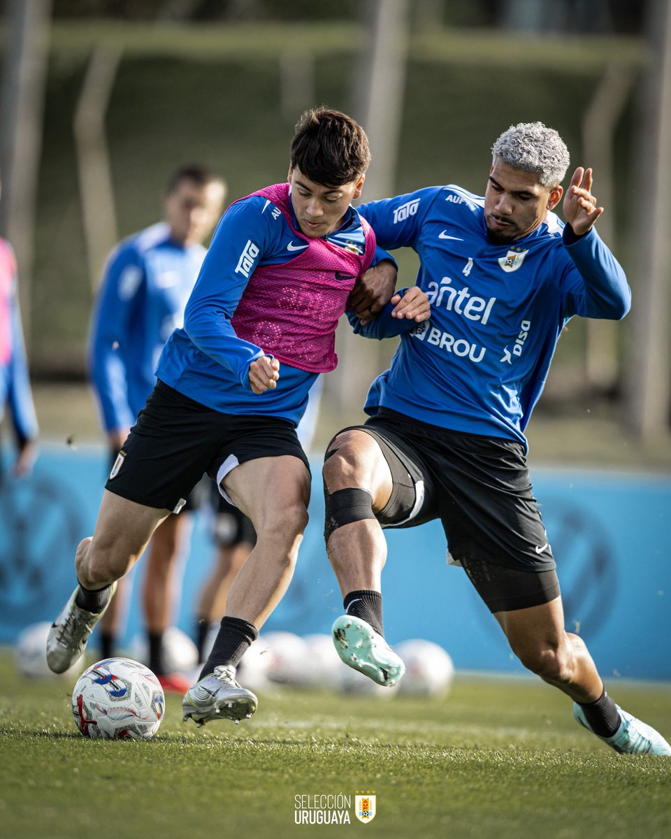 FPellistri07's tweet image. 🇺🇾 @Uruguay