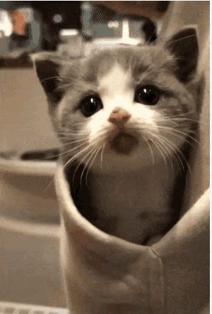 taylor (@itstaylorbaes) on Twitter photo 