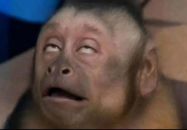 levijeanassi's tweet image. C'est justement après ce moment que les hommes se rendent compte que tout est vanité mdr.